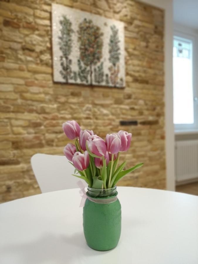 B&B Dimora Damiani Montefiore dellʼAso Kültér fotó